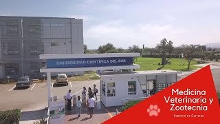 Universidad Científica del Sur  Medicina Veterinaria y Zootecnia [upl. by Wileen]