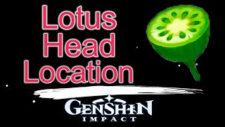 Lotus head location Genshin Impact [upl. by Christiano]