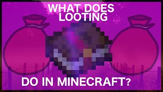 What Does Looting Do In Minecraft [upl. by Benil374]