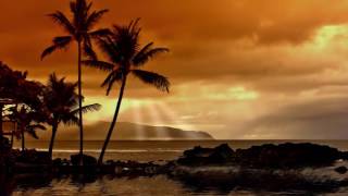 Hawaiian Islands Music Traditional Hawaiian Songs for Deep Relaxation [upl. by Nwahsan]