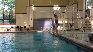 Teach a Flip for Springboard Diving [upl. by Alikam]