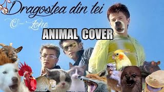 OZone  Dragostea Din Tei Animal Cover [upl. by Deidre736]