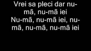 O Zone  Dragostea Din Tei W Phonetic Lyrics [upl. by Gerson]