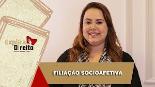 Explica Direito Filiação Socioafetiva  2019 [upl. by Barcroft]