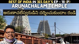 Arunachalam temple full tour in telugu  Tiruvannamalai  Arunachalam temple information  Tamilnadu [upl. by Dez]