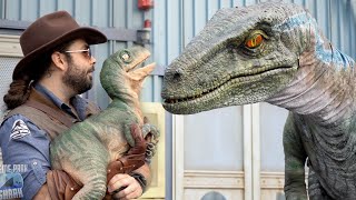 Jurassic World Raptor Experience Universal Studios [upl. by Lrub]