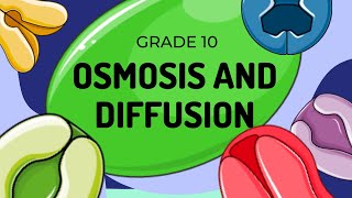 Diffusion and Osmosis [upl. by Liddie]