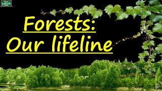 Forests  Forests  Our Lifeline  Class 7  Science CBSE [upl. by Dunham]