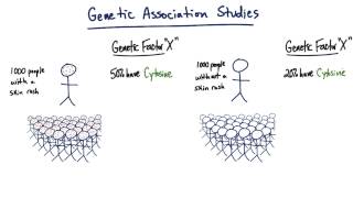 Genetic Association Studies  Tales from the Genome [upl. by Pogue994]