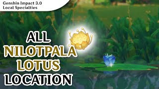 Nilotpala Lotus 79  8 Locations  Genshin Impact [upl. by Otreblig]