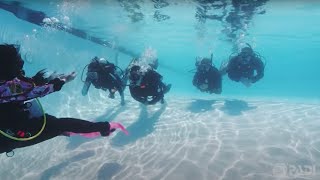 How to Get Scuba Certified [upl. by Eltotsira]