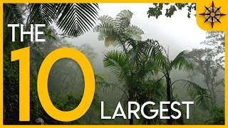 The 10 Largest Forests on Earth [upl. by Gardiner]