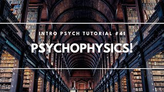 Psychophysics Intro Psych Tutorial 41 [upl. by Yerffoj763]