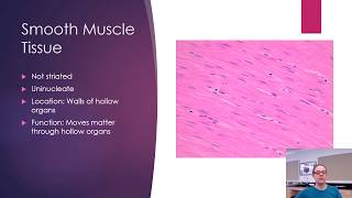 Histology  Bone and Muscle [upl. by Sewoll]