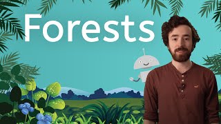 Tell Me About Forests  Science for Kids [upl. by Tiffi]