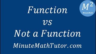 Function vs Not a Function [upl. by Butterfield291]