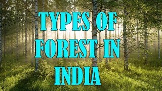 Types Of Forests In India  Indian Geography [upl. by Sdlonyer]