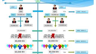 mi lifestyle global marketing pvt ltd plan [upl. by Fasto902]