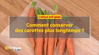 Comment conserver des carottes plus longtemps [upl. by Resee]