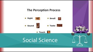 The Perception Process Screencast [upl. by Nyladnarb]