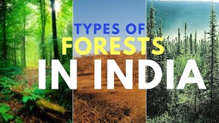 Types of Forests in India  Ascension Talks [upl. by Ashely]