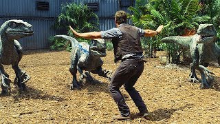 Raptors Training Scene  Jurassic World 2015 Movie Clip HD [upl. by Ettennaj]