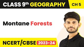 Montane Forests  Natural Vegetation amp Wildlife Chapter 5  Class 9 SST Geography [upl. by Aikem88]