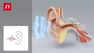 Come funziona ludito  Signia Apparecchi acustici [upl. by Ahseia]