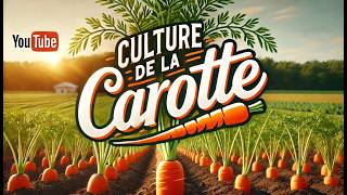 La carotte  culture semis plantation entretien récolte [upl. by Scrope]