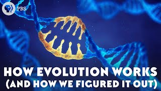 How Evolution Works And How We Figured It Out [upl. by Kayla]