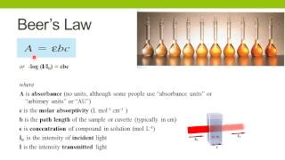 Spectrophotometric Enzyme Assays [upl. by Gabriello]