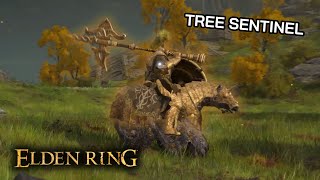 How to DEFEAT the TREE SENTINEL in Elden Ring [upl. by Leuamme]