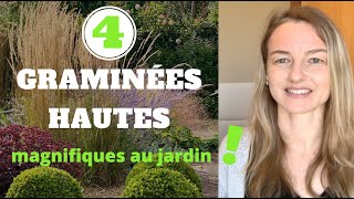 4 GRAMINÉES HAUTES magnifiques au jardin [upl. by Sink]