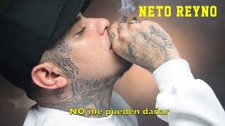 Neto Reyno  No Me Pueden Dañar Video Letra NR 20Conmigo [upl. by Essirehs]