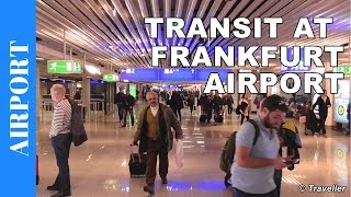 TRANSIT WALK AT FRANKFURT Airport FRA Terminal 1  Connection Flight Transfer Arriving amp Departing [upl. by Hermione]