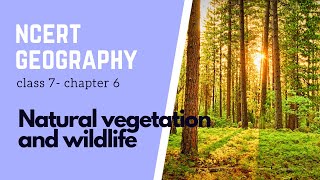 Chapter 6 Natural vegetation amp wildlife  Class 7  NCERT Geography  Types of Forest [upl. by Teresina447]