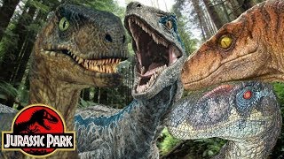 The Differences Between Velociraptors In The Jurassic Park Film Series [upl. by Yttap]